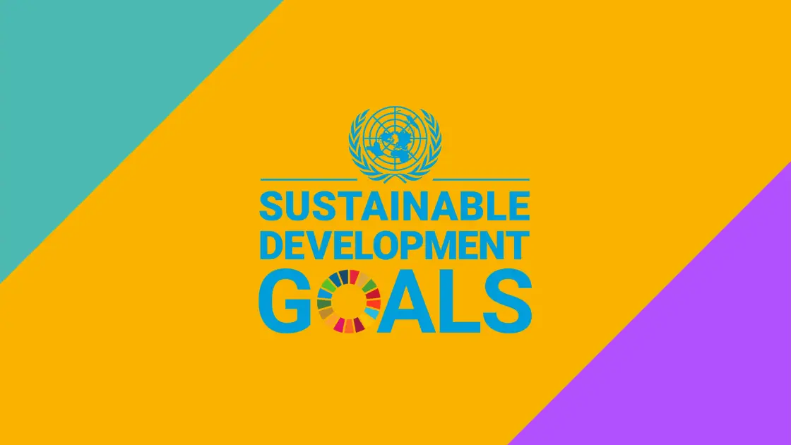 What are UN SDGs?