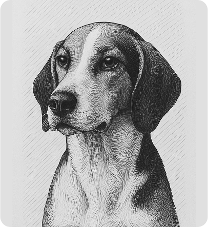 image Lady Bird Oakpool
