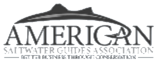 American Saltwater Guides Association
