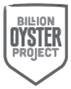 Billion Oyster Project