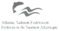 np-asf.png